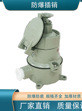 防爆插头/防爆插座/防爆插销AC-16/32/220V/380V直插五孔斜插非标