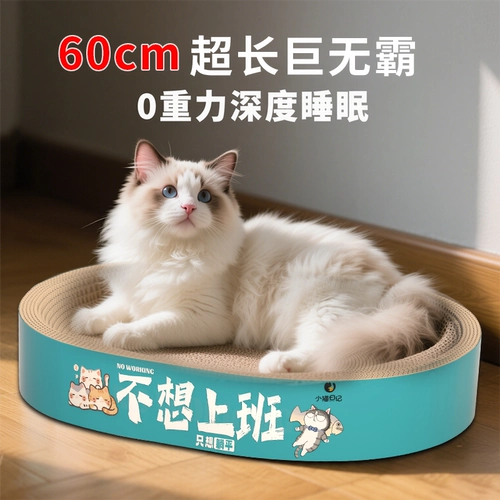 Круглая кошка захватывает игрушечные игрушки и без учета, кошки хватают кастрюлю, возьмите панели кошачьего кошачьего ког