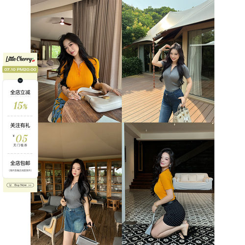修身Polo翻领短袖毛织上衣T恤女