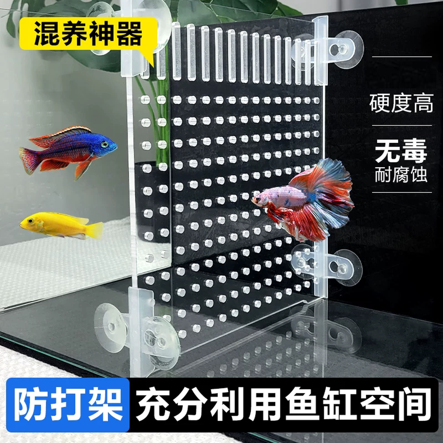 鱼缸隔板隔离网乌龟缸透明亚克力挡板盖板水族箱鱼苗分离板隔断网