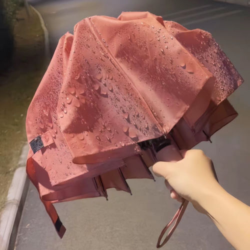 遇水开花雨伞女生高颜值加大防风加厚非晴雨两用防晒小便携自动伞