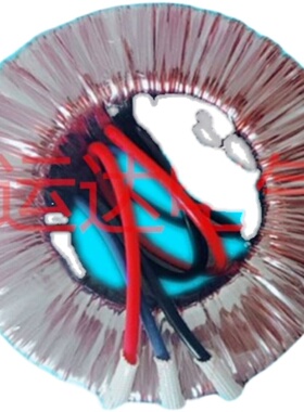 环形自耦变压器0V110V220V转380V440V200W300W400W500W110V转22u.