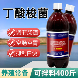 丁酸梭菌水产养殖用乳酸菌益生菌鱼虾蟹养殖调节肠道白便肠炎空肠