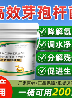 芽孢杆菌水产养殖调水净水复合枯草芽孢杆菌鱼虾蟹塘专用生物菌种