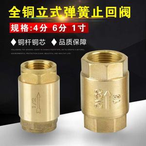。全铜加厚立式止回阀4分6分1寸水管水表内丝止逆阀弹簧单向逆止