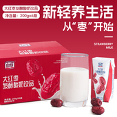 忠厚红枣酸奶整箱200g6盒红枣风味酸奶官方旗舰店正品 儿童酸奶