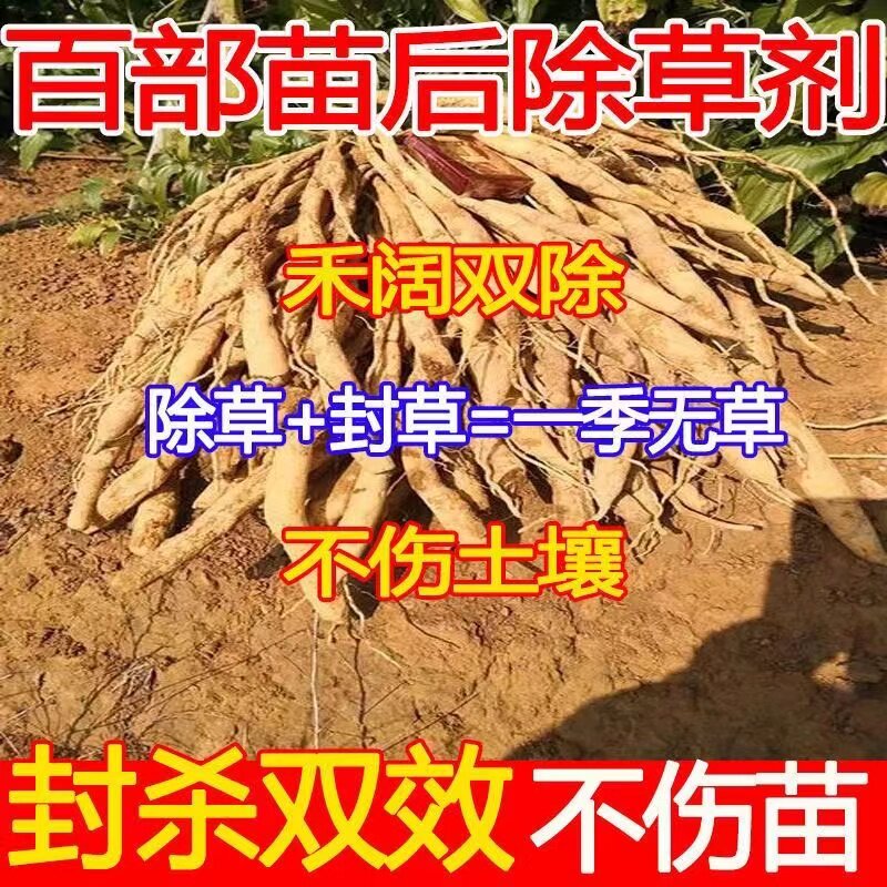 百部专用除草剂安全不伤苗药材地除草剂杂草一扫光高效除草烂根剂