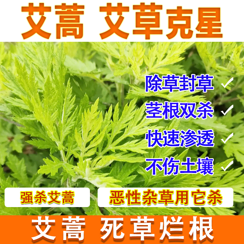 艾蒿地除草剂强力除草烂根剂三年不长草安全不伤苗封闭型灭草药