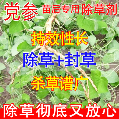 党参除草剂不伤苗除草烂根剂一扫光三年不长神器党参烂根除草济