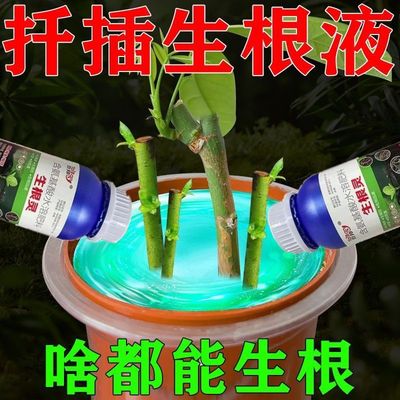 生根药水复活液枯树再生液强力生根液猛生根植物扦插生根剂