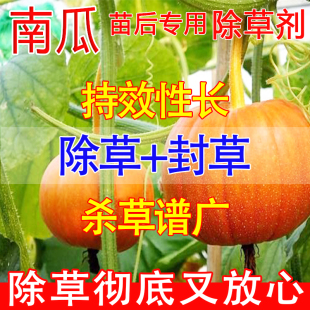 南瓜地除草剂不伤苗除草烂根剂一扫光三年不长神器南瓜苗后除草济