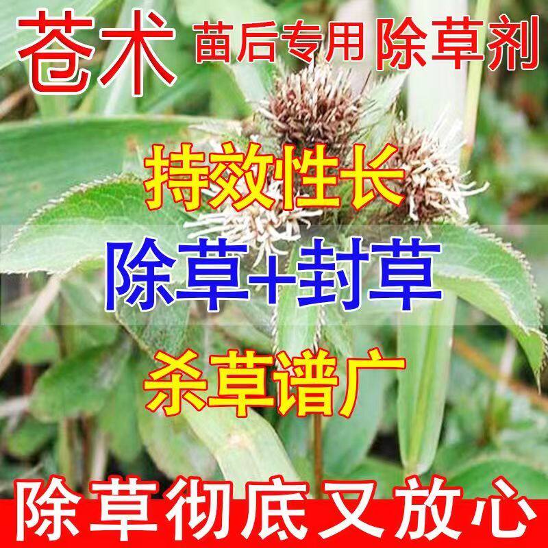 苍术除草剂药材地除草烂根剂苍术幼苗除草剂三年不长草仓术除草剂