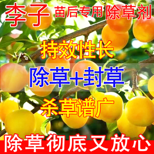 李子树除草剂果园除草专用剂烂根不伤果树蓝李子专用除草烂根药
