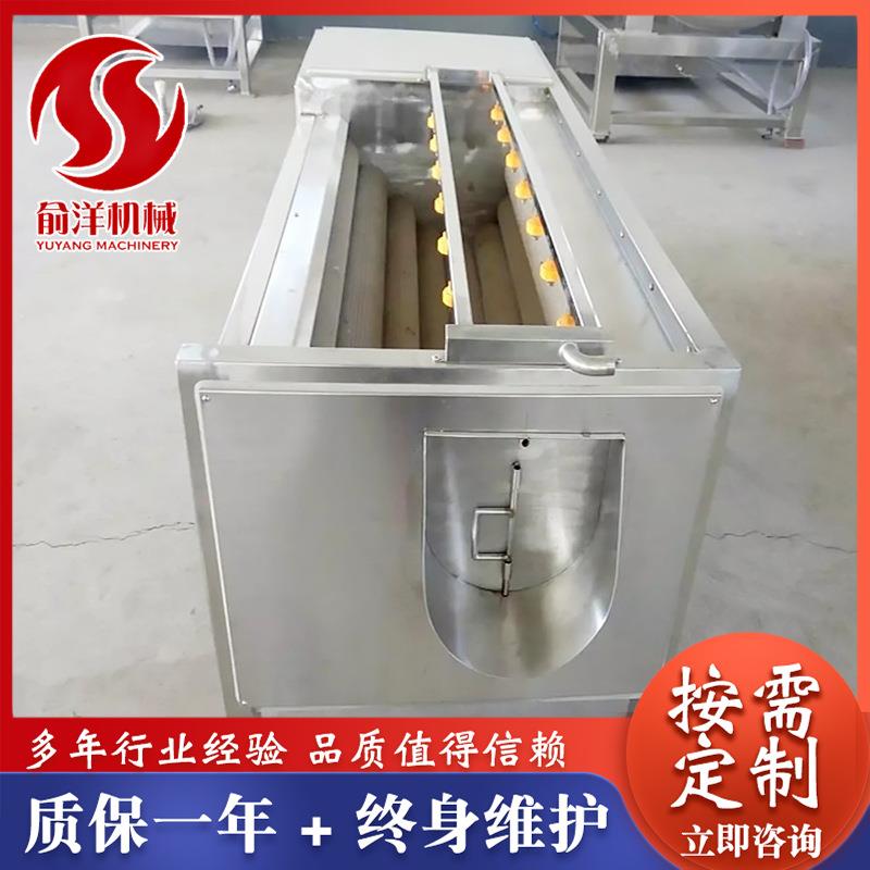 土豆去皮清洗机莲藕清洗机毛辊去皮机诸城厂家供应处