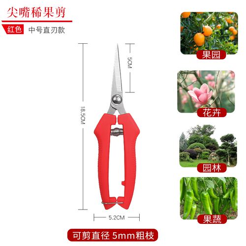 SK5粗枝剪园林园艺修枝剪修花枝剪果树剪花卉稀果剪采摘水果神器