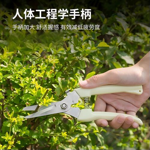 园艺剪修枝剪花剪园林剪刀花艺剪剪树枝果树剪刀枝剪修剪花卉剪子