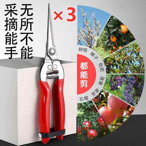 进口不锈钢摘果剪园艺剪刀修枝剪葡萄火龙果剪采摘花椒神器专用剪