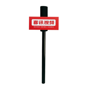 结婚新娘伴娘团拍照出片道具电视台采访话筒接亲堵门创意搞笑装扮