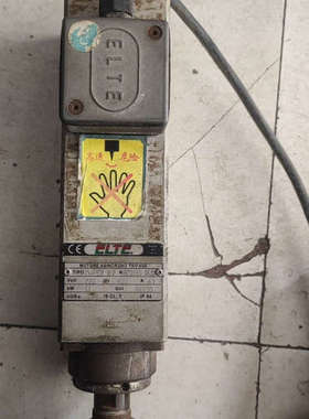 意大利ELTE电机主轴  TMPE2 9/2