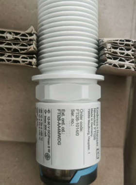 E+H 电容物位传感器 FTI26-AA4MWDG（FTI2
