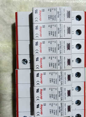 两只美国 Raycap浪涌保护器 SAFETY C(R) 2