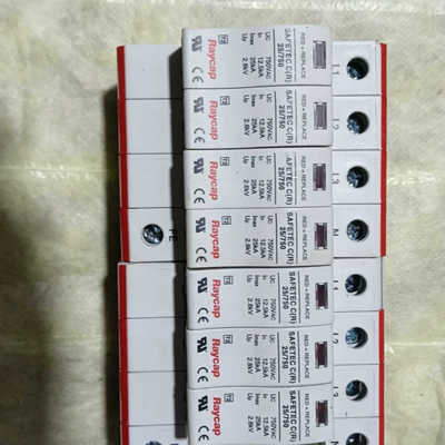 两只美国 Raycap浪涌保护器 SAFETY C(R) 2