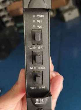 康吉森SIS卡件，BI01.