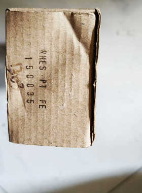 ProMinent普罗名特RHES PT FE电极，全新实物