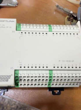 SOFTLINK RT133-1BL02-DP PLC模块，