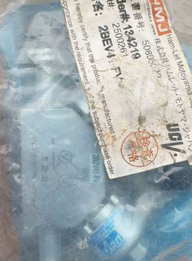 2BEV41-FV  全新阀门