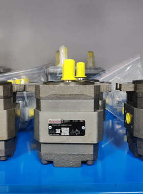 R900951302 PGH2-2X/008RE07VU2