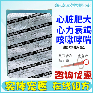 匹莫苯丹咀嚼片5mg宠物猫咪犬狗心脏肥大喘力衰竭病药贝心安