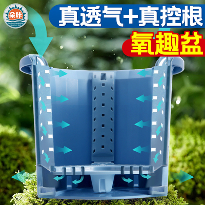 花盆家用阳台绿植养花透气种植盆
