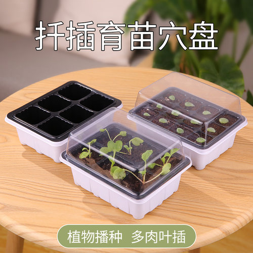 专用盆穴盘长方形营养杯扦插育苗