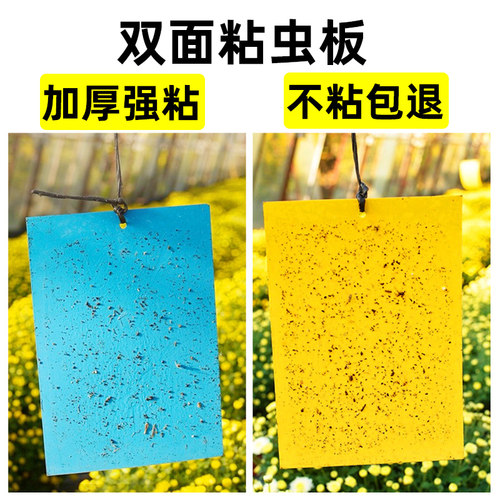 粘虫板黄板双面长时间强黏力20张