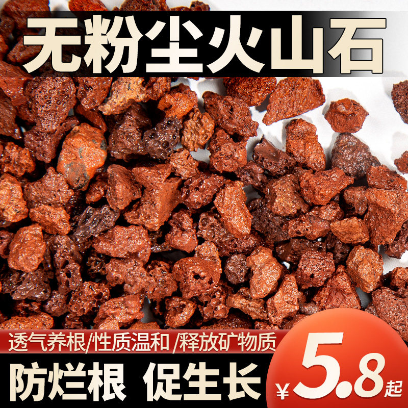 火山石颗粒红火山岩多肉兰花专用拌土颗粒营养土铺面石头鱼缸底砂,鲜花速递/花卉仿真/绿植园艺,介质/营养土,淘宝优惠券,粉丝福利购,淘宝优惠卷