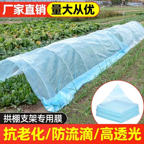 加厚透明拱棚无滴膜保暖防风