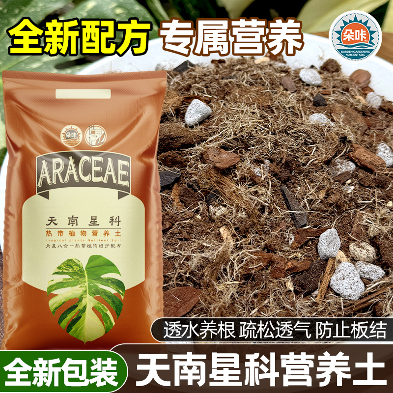 朵咔天南星科专用营养土