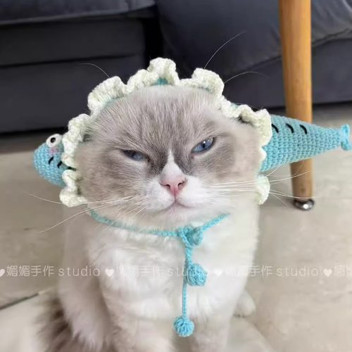 钩织小鱼小猫咪帽子毛线材料包