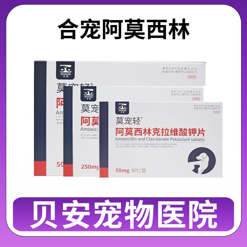 合宠莫宠轻消炎药阿莫西林克拉维酸钾片宠物兽用猫鼻支犬咳嗽感冒,宠物/宠物食品及用品,猫呼吸道疾病药品,淘宝优惠券,粉丝福利购,淘宝优惠卷