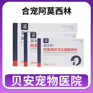 合宠莫宠轻消炎药阿莫西林克拉维酸钾片宠物兽用猫鼻支犬咳嗽感冒