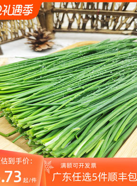 新鲜蔬菜虾夷葱西洋细小葱