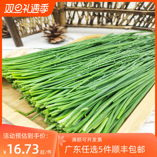 新鲜虾夷葱 西洋细葱 Chives小葱 法葱仔 细香葱