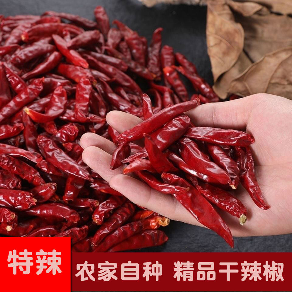 河南新一代辣椒农家三樱椒干货朝天椒天鹰小椒干红新鲜香辣特香