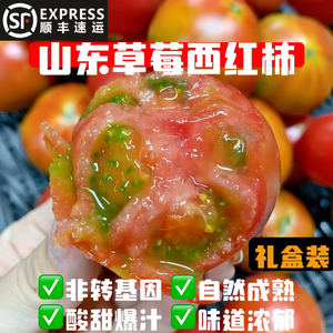 顺丰包邮自然成熟草莓西红柿孕妇宝宝酸甜自家种生吃现摘铁皮柿子