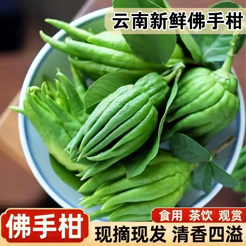 现摘新鲜佛手柑大果鲜果观赏可食用闻云南培清供天然香薰清香香薰