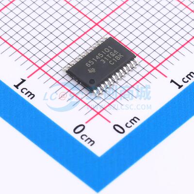TPS65145IPWPRQ1 HTSSOP-24-EP 全新原装 TI(德州仪器)