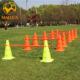 足训练标志杆跨标志桶套装 842A孔标志筒足球练训调节栏球障 带MK