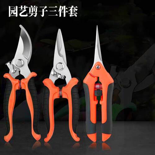 修枝剪园艺剪刀果园花枝摘果树枝园林多用途工具家用不锈钢套装