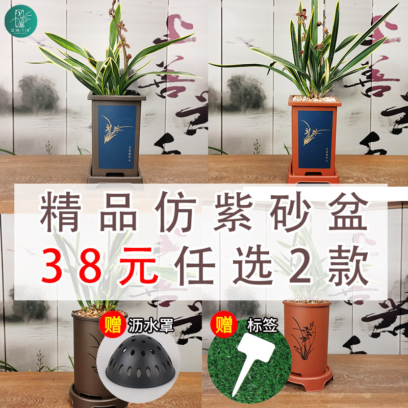 古典兰花盆仿紫砂盆栽塑料圆形四方形古风盆绿植景带托盘沥水罩